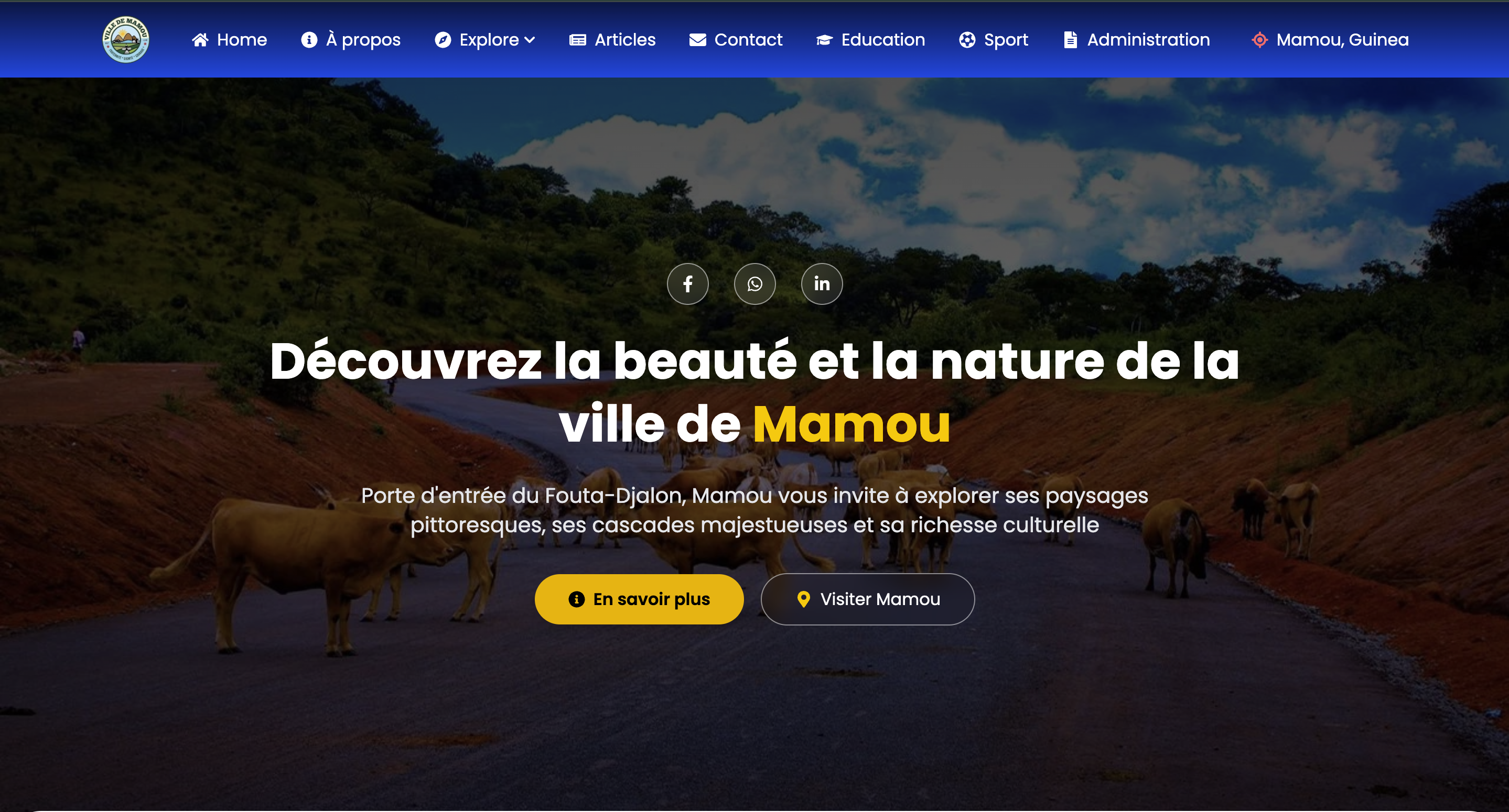 Mamou Digital City Portal